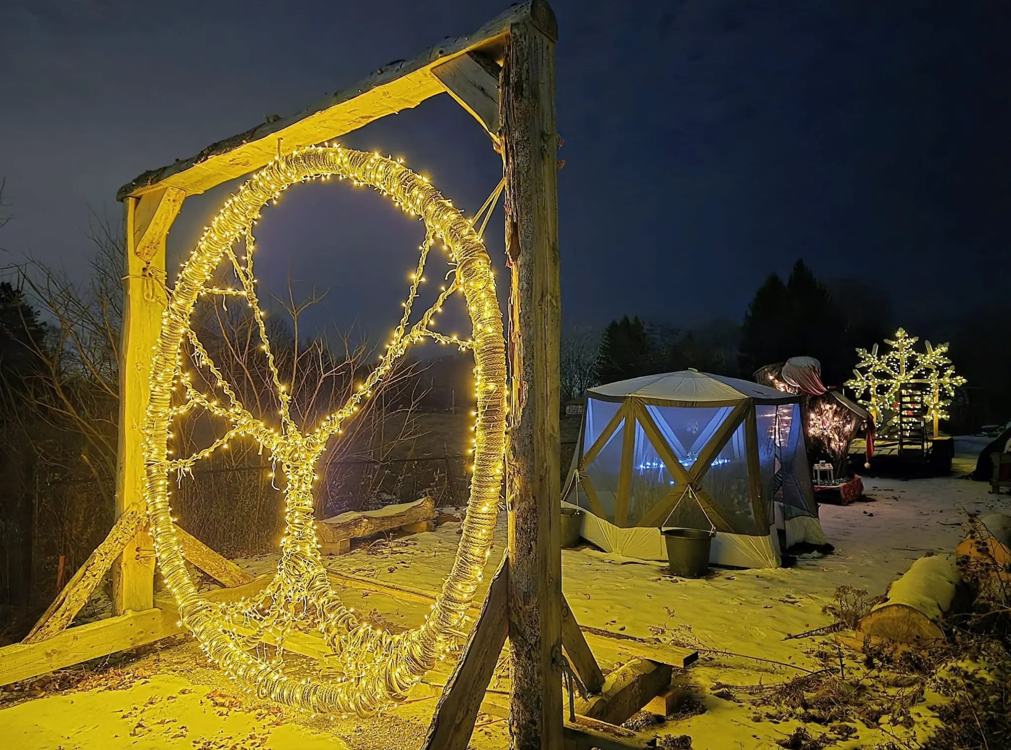The Willow Tree Whispered a Christmas Wish