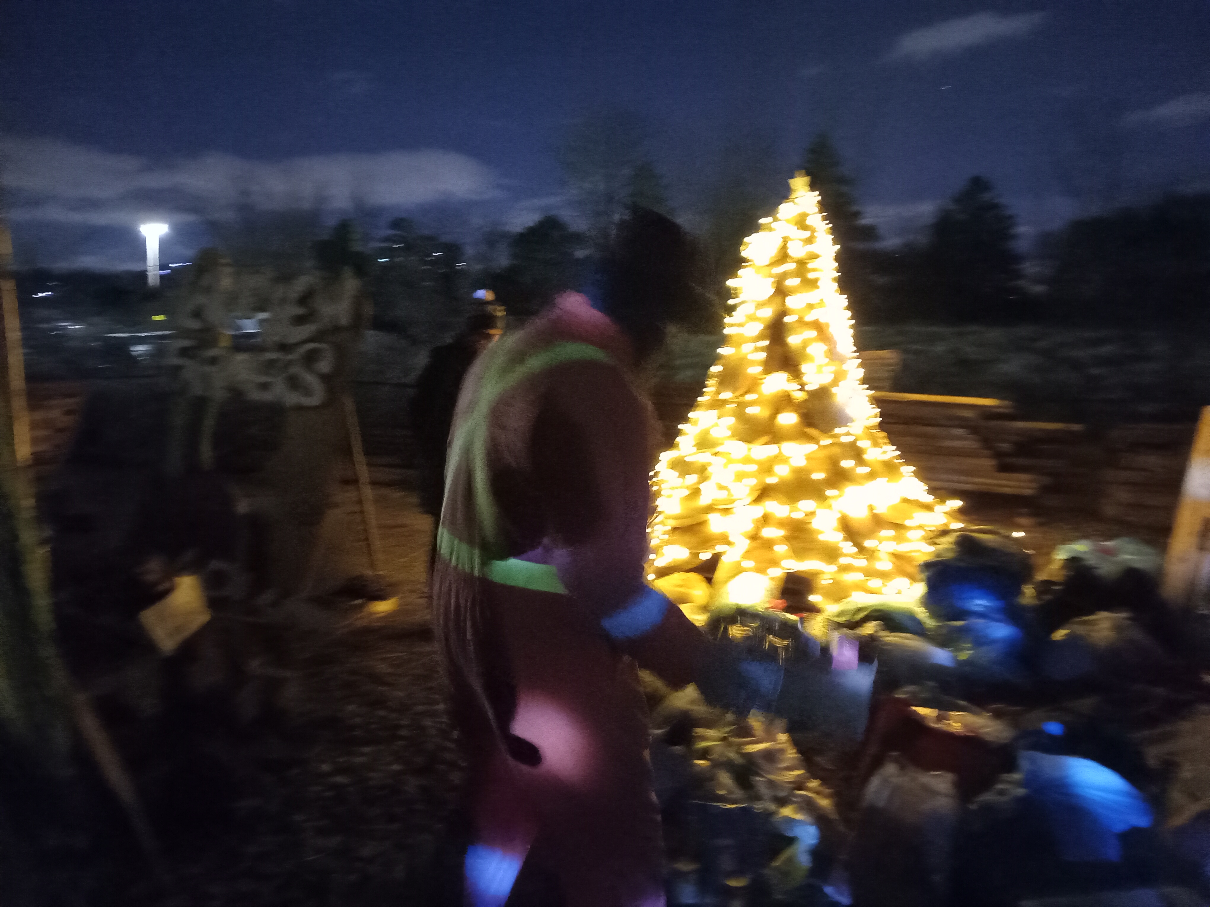 Willow Tree Christmas Wish project